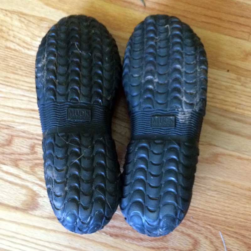 Dog Walking Shoes MuckBoots Unisex Edgewater Camp Shoe Solved That!